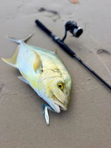 BenHoyleFishing review photo