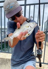 Blaze_fisho10 review photo