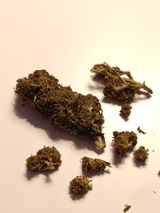 Brugerbillede