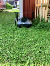 Greger Albertsson review photo