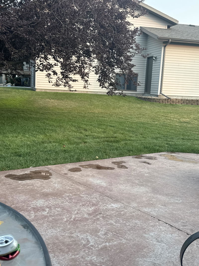 Customer photo from Dave T.
