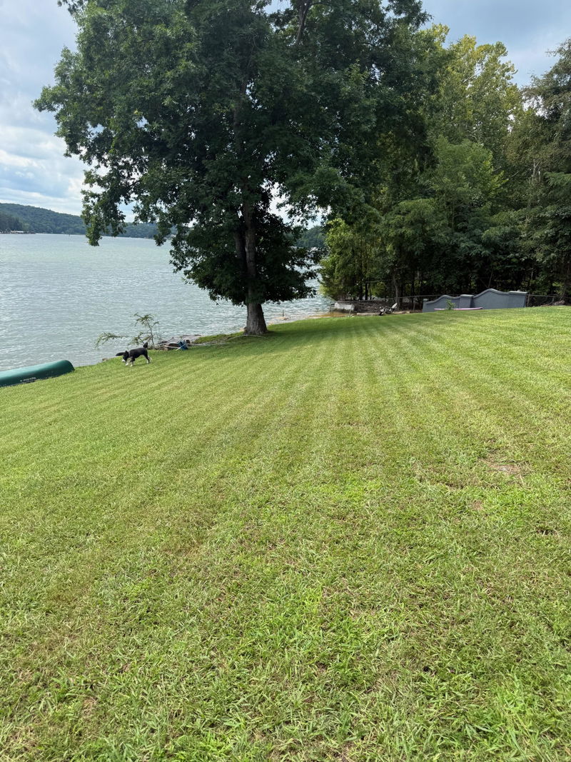 Customer photo from Michael R.
