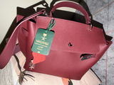 Dina S review photo