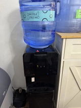 Spotless carpet cleaning review photo
