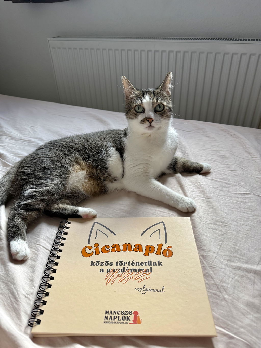 Cicanapló