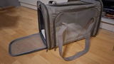 Dorina G. review photo