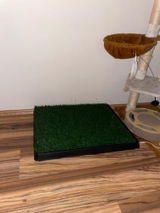 Attila P. review photo