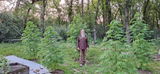 D.H. review photo
