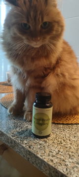 Anonymní review photo
