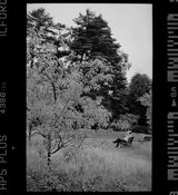 Evan Schwanke review photo