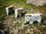 Star Bionics review photo