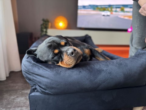 Hondenbed op maat