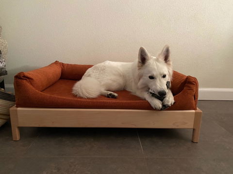 Hondenmand hard maple hout