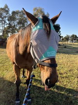 Calia Jade Equine review photo