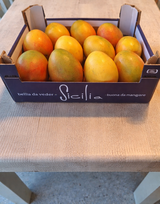 CICCIO R. review photo