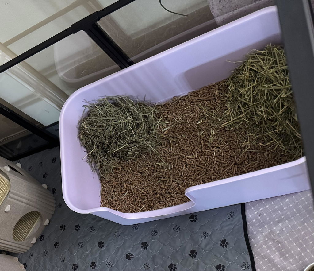 Butter Litter Box XXL (Double Extra Large)