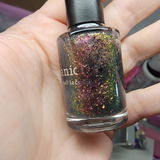 Donna Shook review photo