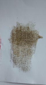 Zebo review photo
