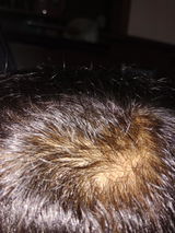 Muhammad Jawad review photo