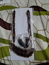 Bhakti Joshi review photo