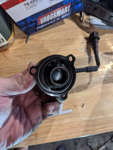 Lucas W review photo