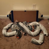 Zachary Spriggs review photo