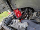 Jordan Wolfe review photo