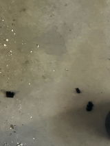 Erasehisbullshitpleaseraymondcarevo8 review photo