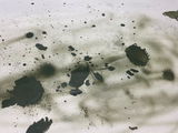 patrick riffault review photo