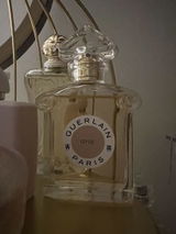 Lauren review photo