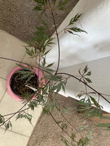 Jeff Rutherford review photo