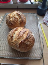 Renate review photo
