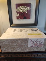 Rosemary O. review photo