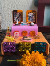 MONICA MEZA review photo