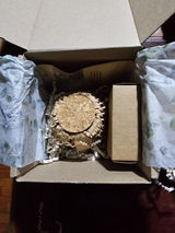 Stefanny review photo