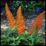 Handmade rusty garden/outdoor rusty fern  leaf 99cm