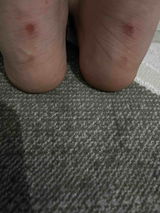Evin D. review photo