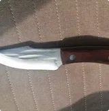 Monika review photo