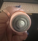 Camelia review photo