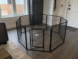 Alex bendix review photo
