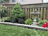 FRANCES DONATELLI review photo