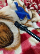 Pooja rajput review photo