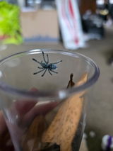 Erin Wiles review photo