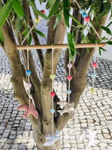 Ana Alves review photo