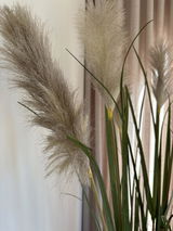 Annelies Heetvelt review photo