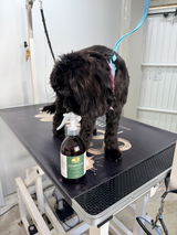 Susan Brayson - Scruffs no more, Grooming for Dogs review photo