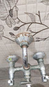 Vishant review photo