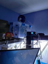 Srijan review photo