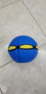 Ananya review photo