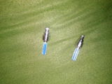 Ved review photo